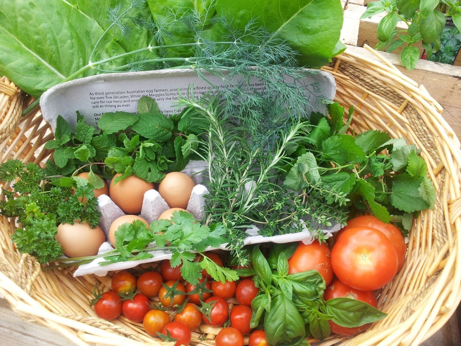 Why Growing Your Own Food is a Sustainable Choice