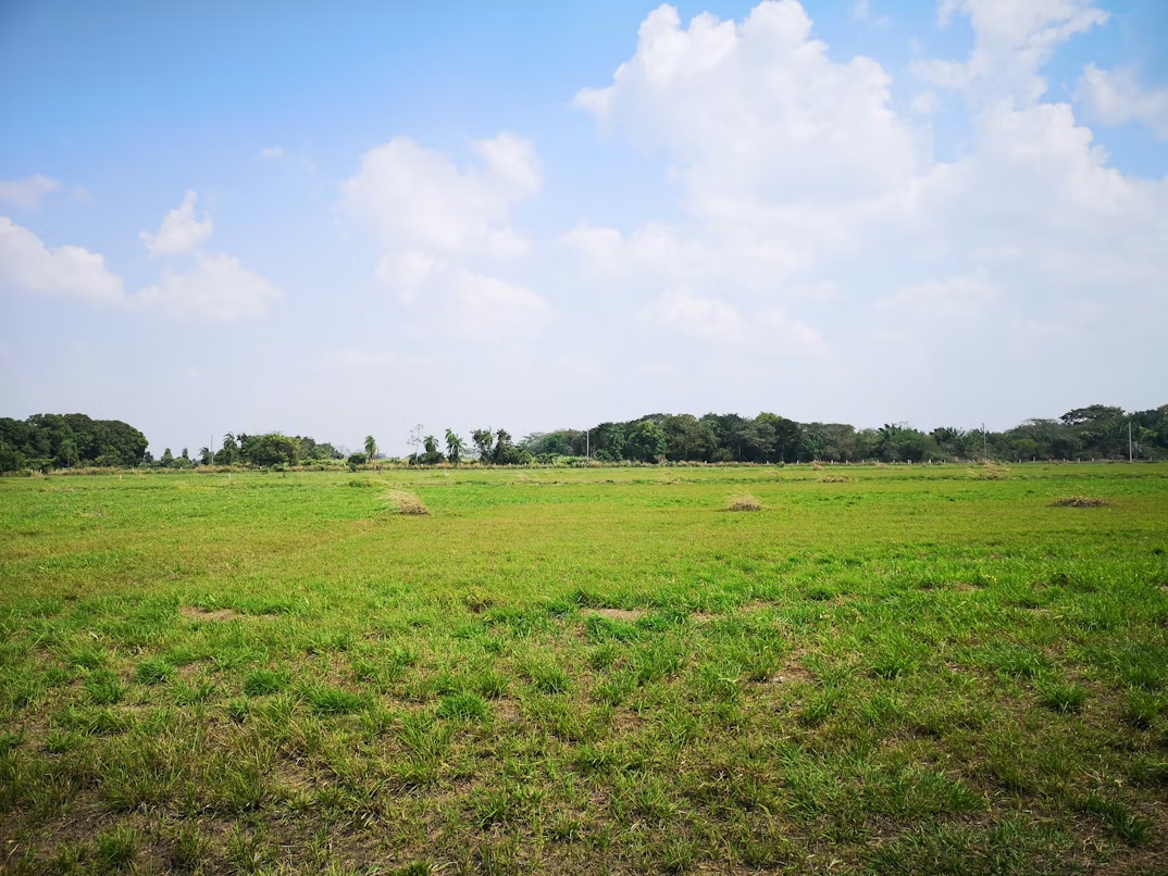 Why Hiring Land Selling Professionals Is the Fastest Way to Close Your Deal