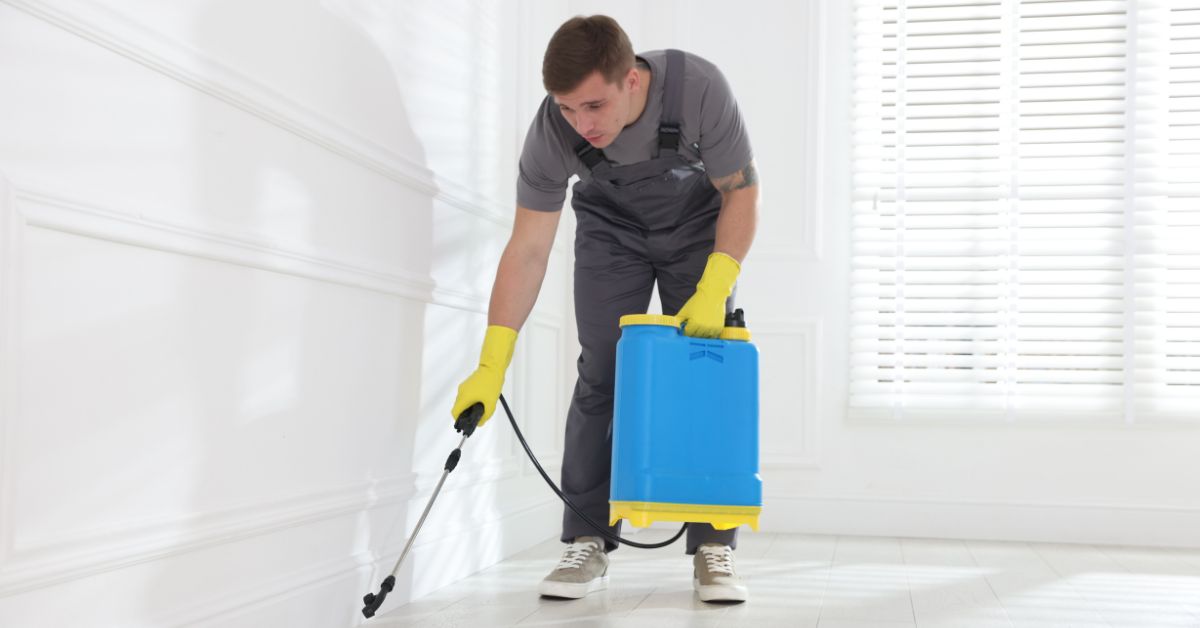 Risks of Ignoring Pest Problems