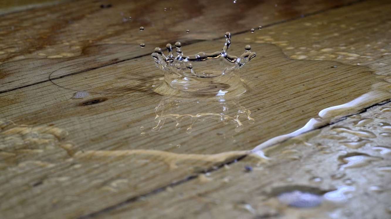 Property Owners Can Take After Discovering a Roof Leak