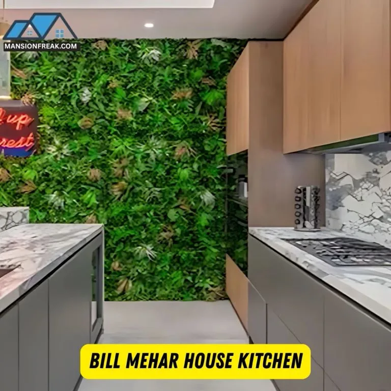 Bill Mehar House: Inside His $20M Beverly Hills Mansion of a Comedian 9 Bill Mehar House Kitchen