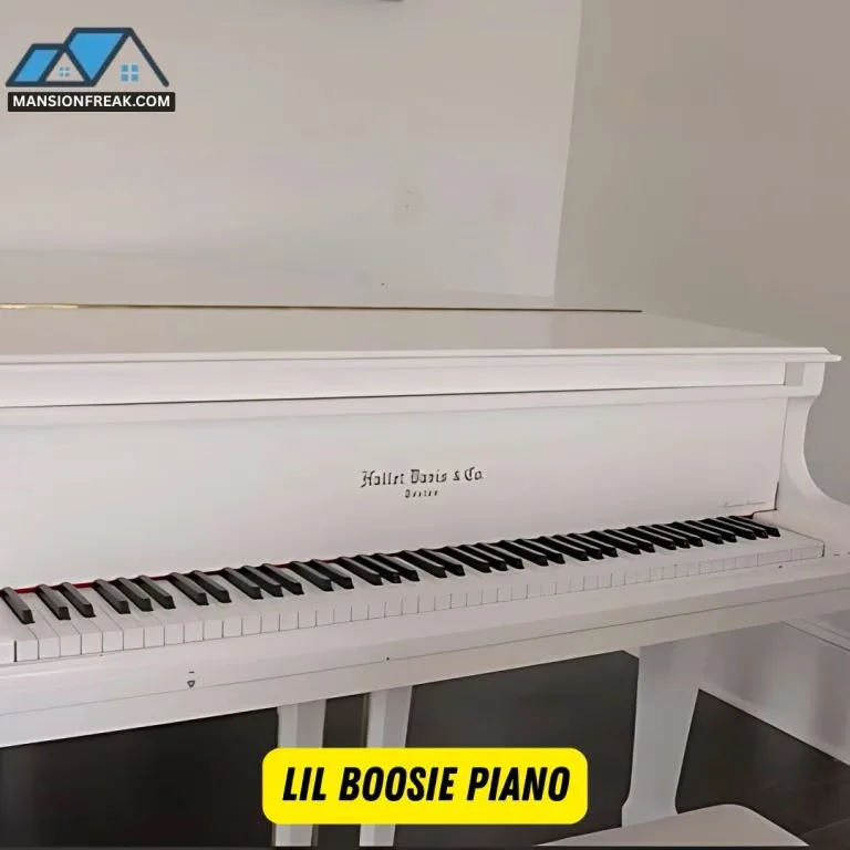 Lil Boosie House Atlanta: $2.7 Million Batman Mansion of a Rapper 10 Lil Boosie Piano
