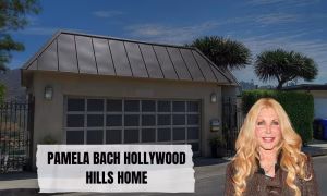 Pamela Bach Hollywood Hills Home