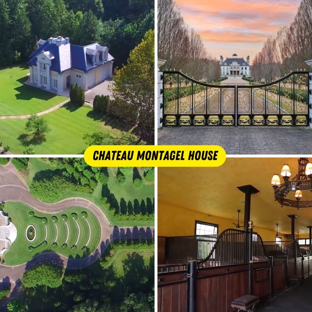 Largest House in Alabama: $30M Mansion Sells for a Fraction 5 image 20