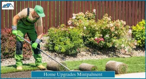 Home Upgrades Mintpalment