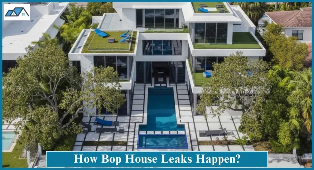 Bop House Leaks: Inside the Controversial Online Phenomenon 3 How Bop House Leaks Happen?