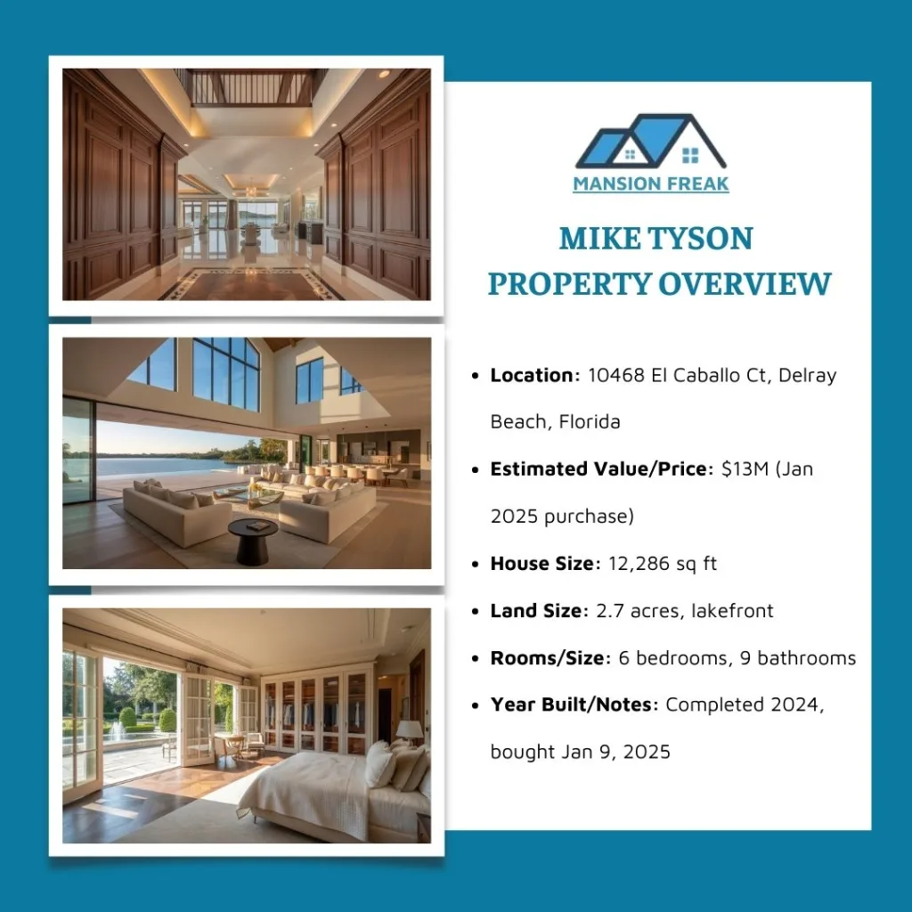 Mike Tyson Property Overview