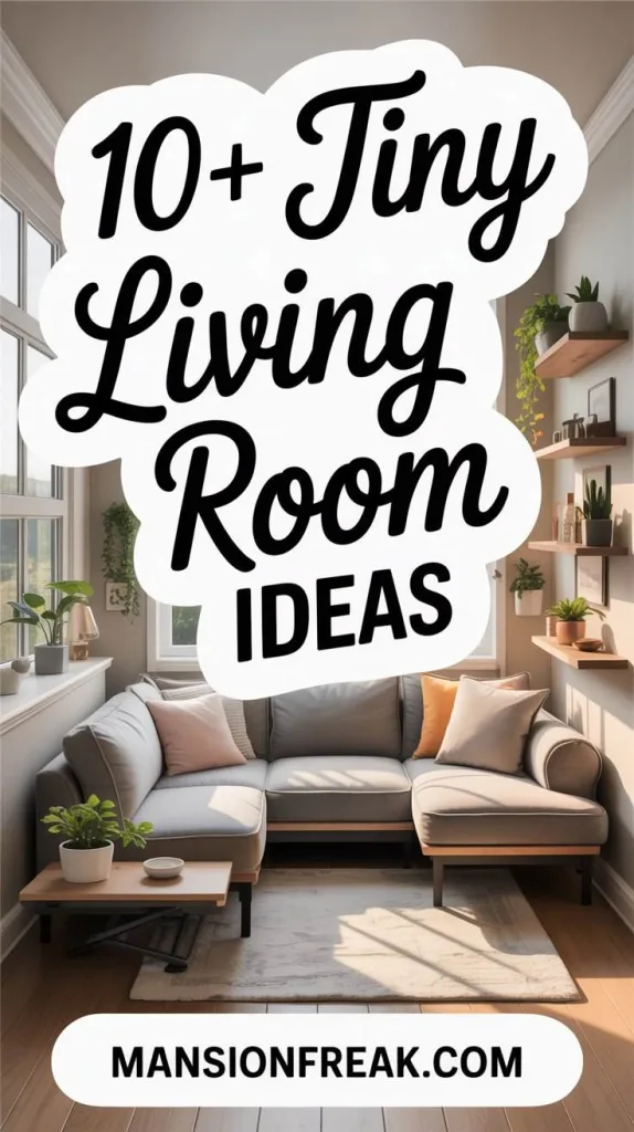 Tiny Living Room Ideas