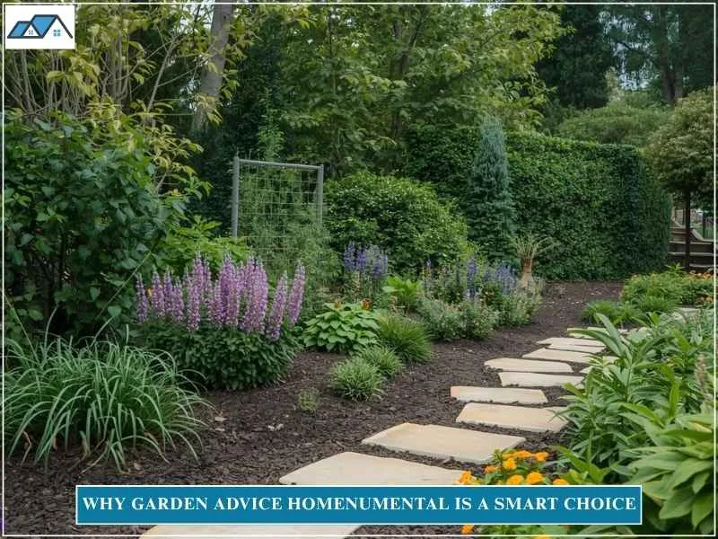 Why Garden Advice Homenumental Is a Smart Choice