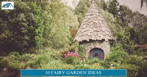 Fairy Garden Ideas