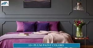 Plum Paint Colors
