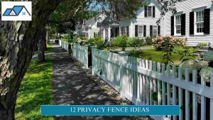 Privacy Fence Ideas