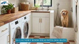 Laundry Room Ideas With Dog Bath