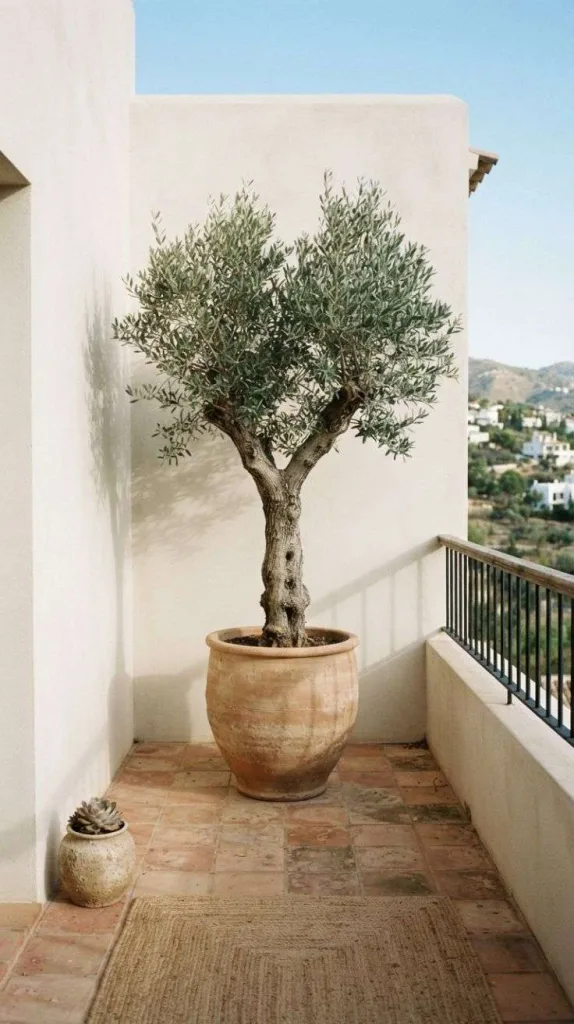 This Minimalist Balcony Decor That Looks Expensive Without the Extra Cost 6 Olive Tree Accent